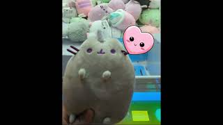 Winning Pusheen mini plush from spinning Claw machine clawmachine clawcatcher pusheen [upl. by Nodnab884]