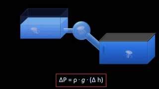 Hydrostatic Pressure Fluid Mechanics  Lesson 3 [upl. by Enyamert]