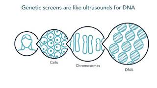 Chap 19 Part 3b Genetic Screening and Gene Therapy  Cambridge ALevel 9700 Biology [upl. by Oemor]