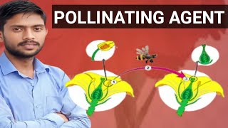 pollinating agent  pollination  types of pollination [upl. by Francois]