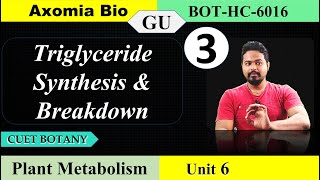 Triglyceride synthesis and breakdown CUET PG Bsc Botany GU 6th sem Dr Rajib Borah Axomia Bio [upl. by Maidy]