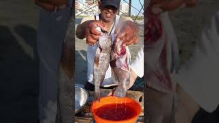 Ceviche de pescador buenazo peru chiclayo receta comidaperuana [upl. by Kcuhc]