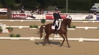 Carl Hester Freestyle National Dressage Champs 2016 [upl. by Ernst896]