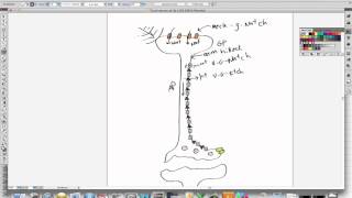 Signal transduction in a quottouchquot neuron [upl. by Onibag]