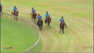 Traditional horse racingScottville PMB 21092024 [upl. by Ahseia149]