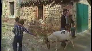 Los pastores trashumantes de las 7 Villas RTVE 1984 [upl. by Enoed531]