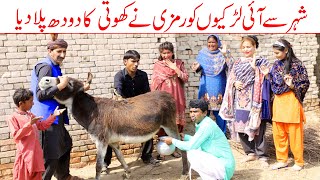 Seriously funny jokeRamzi Sughri Ch Koki Jatti amp Mai Sabiran New Funny Video By Rachnavi Tv [upl. by Flowers196]