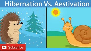 Hibernation vs Aestivation Different between hibernation amp Aestivation [upl. by Yenterb]