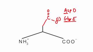 Memorize the 20 amino acids in 20 minutes Part 2 [upl. by Allecsirp552]