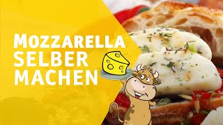 Mozzarella selber machen  In nur 1 Stunde [upl. by Victorine]