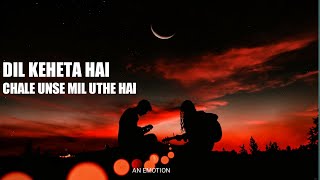 Dil Kehta Hai Female version lyrics song l Akele Hum Akele Tum  Dil Kehta Hai full song anemotion [upl. by Sacrod]