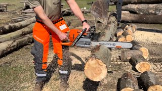 Stihl vs Husqvarna  Chainsaw Comparison Firewood [upl. by Nairret]