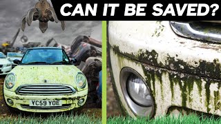 Detailing this ABANDONED Mini Cooper Can it be saved [upl. by Esoj]