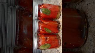 Make your own pickled amp fermented peppers [upl. by Marie]