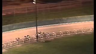 1993 GREYHOUND RACE OF CHAMPIONS  DIARYLAND WI [upl. by Assertal]