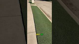 Transform your bermuda grass lawn in just 7 days [upl. by Judenberg]