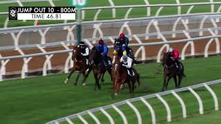 Flemington Jump Outs 25 October 2024 Jump Out 10 [upl. by Aivatnahs337]