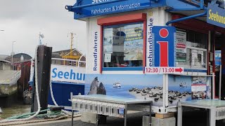 Hafen cuxhaven Livestream [upl. by Sheepshanks]