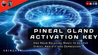 Pineal Gland Activation Key  One Hour Relaxing Music to remove Stress Anxiety and Depression [upl. by Otrevire]