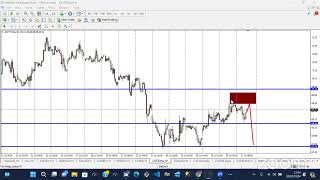 Rally Trade  Agro Commodity Expose [upl. by Ehr612]