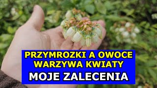 Przymrozki  moje zalecenia dla Owoców Warzyw i Kwiatów Bardzo ważny odcinek Oprysk Agrowłóknina [upl. by Acila]