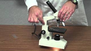 How to Use a Microscope [upl. by Mcmillan]