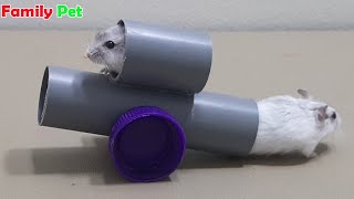 DIY Simple Toys For Hamsters  Hamster Cute Moments  Family Pet Funny [upl. by Akeihsat199]