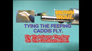 Tying the Peeping Caddis Saved the Day Fly Fishing on the Goulburn River Fishing Saves River [upl. by Ixela]