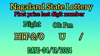 First prize last digit number Nagala04112024 [upl. by Zeuqcaj314]