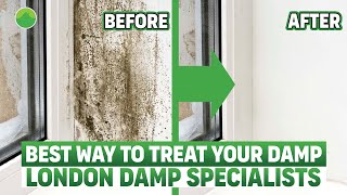 How To Effectively Treat Damp In Your House Solutions For Rising Penetrating amp Condensation [upl. by Judson273]