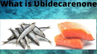 What is Ubidecarenone [upl. by Eenahc386]