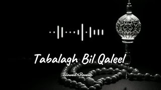 Tabalagh Bil Qaleel ♥️peaceful islamicvideo [upl. by Rofotsirk]