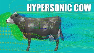 Hypersonic Cow Aerodynamics shorts [upl. by Ardnovahs]