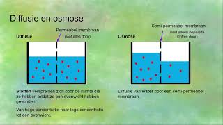 Endocytose exocytose diffusie osmose actief en passief transport  Transport in en uit cellen [upl. by Jobey301]