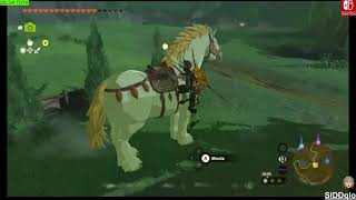 How to obtain the GIANT WHITE STALLION in Zelda TOTK [upl. by Juliann]