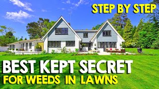 PREVENT Lawn Weeds BEFORE they Grow Using Pre Emergents [upl. by Eiblehs]