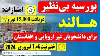 بورسیه کاملا رایگان هالند  Netherland Fully Funded Scholarships [upl. by Absa]