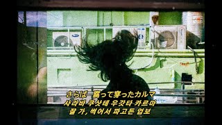 네가 생각하는 것보다도 세상은  RADWIMPS  Hyperventilation 가사해석번역lyrics [upl. by Kunkle624]