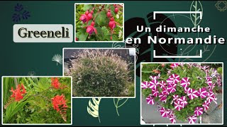 Un dimanche en Normandie le jardin de ma maman fleurs 🌺🌼🌷 et légumes 🥕 🫑🥒🥬 8 juillet 2024 [upl. by Atterual]