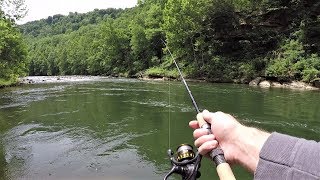 TROUT Fishing for Rainbow amp Brown Trout with Spinners [upl. by Modern]