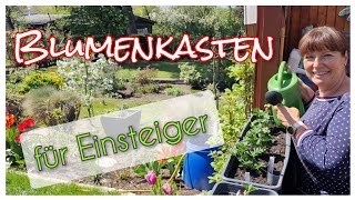 Blumenkästen bepflanzen für Anfänger  Eine Anleitung für Beginner [upl. by Emmye]