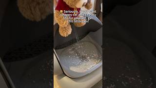 best litter box self cleaning Neakasa Smartcatlitterbox cat catlitter clean pet neakasa [upl. by Dagnah15]