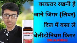 चेलीडोनियम मेजस Q  लिवर का रक्षक chelidonium majus Q in Hindi [upl. by Cibis159]