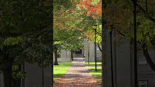 October Oberlin College Oberlin Ohio 2024 [upl. by Eelarual417]