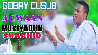 MUXIYADIIN SHAAHID  CAQLI GADAN  GABAY CAJIIBA  2024 AUDIO [upl. by Christel]