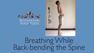 Breathing while Back Bending the Spine [upl. by Idnim895]