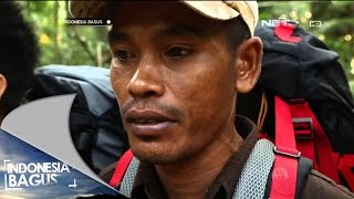 Indonesia Bagus  Ujung Kulon  Melestarikan Taman Nasional Ujung Kulon [upl. by Faucher]