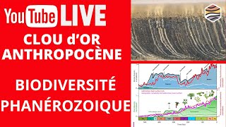 Live GÉOLOGIE 17 Dec 2023  Anthropocène et Dynamique PaysagèreBiodiversité au Phanérozoïque [upl. by Dodge]