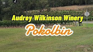 Audrey Wilkinson Winery  Pokolbin Hunter Valley 🇦🇺 [upl. by Haimes693]