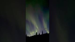 Northern lights in Interior Alaska northernlights alaska night nightlife fall outdoors [upl. by Atsylac340]